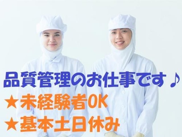写真1