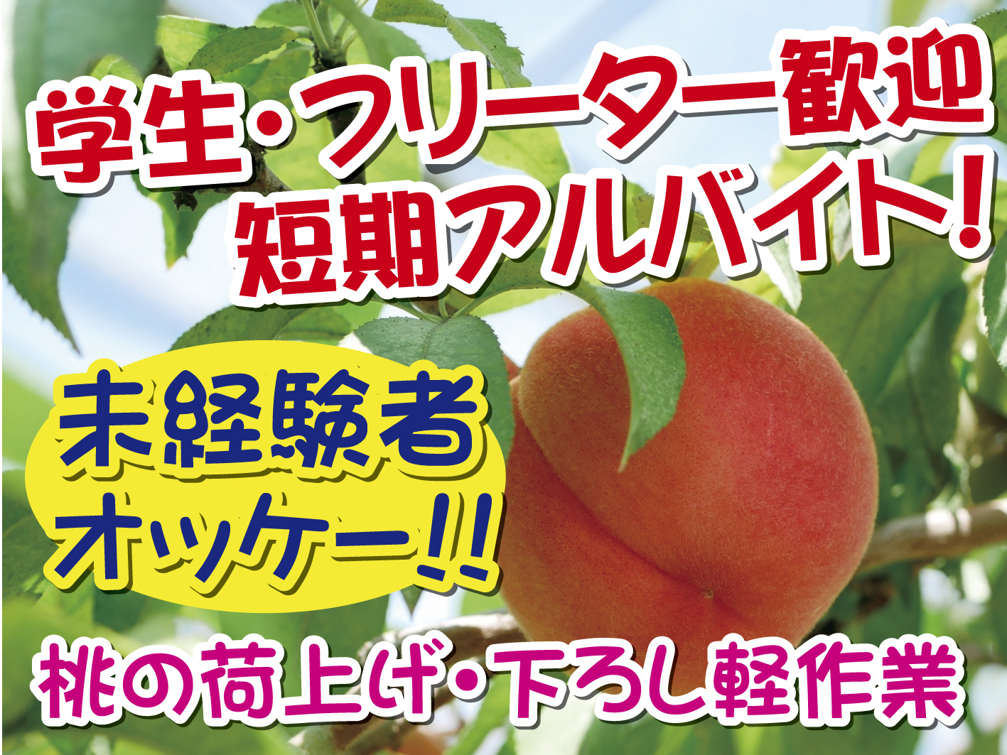 共選所での軽作業・荷上げ・荷下ろし／最長3ヶ月の短期／6月スタート