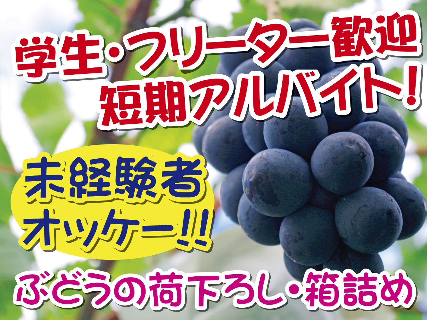 共選所での軽作業・荷上げ・荷下ろし／8月下旬までの期間限定のお仕事
