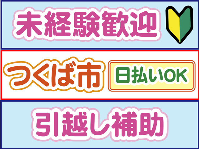 写真1