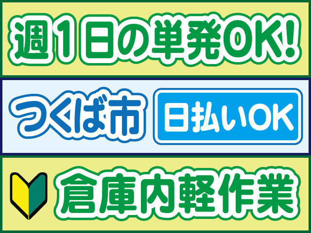 写真1