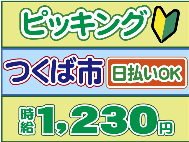 ピッキング、つくば市、時給１２３０円