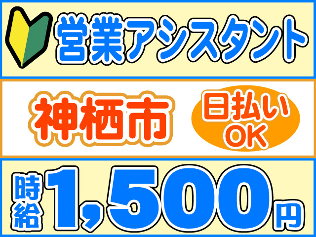 営業アシスタント、神栖市、時給1500円、日払いOK