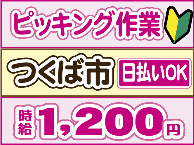 ピッキング作業、つくば市、時給１２００円、日払いOK