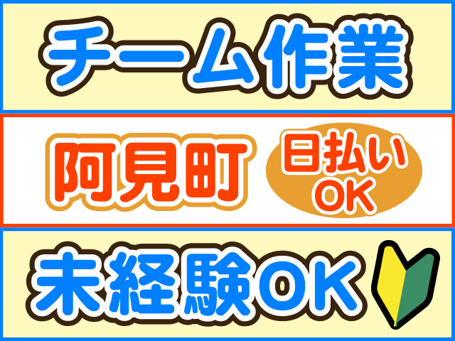 チーム作業、未経験OK、阿見町、日払いOK