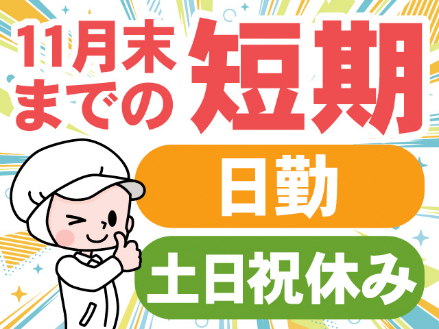 11月末までの短期。日勤。土日祝休み