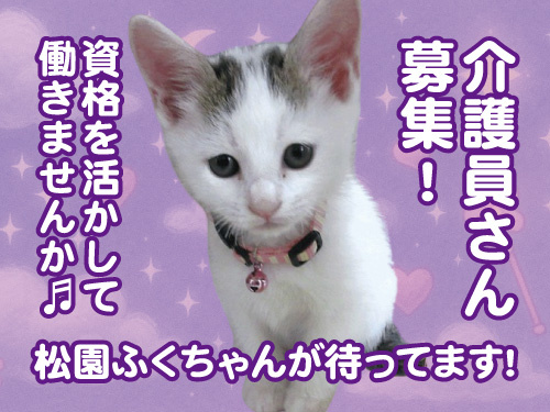 介護福祉士／賞与年3回／残業ほぼなし／資格を活かせる