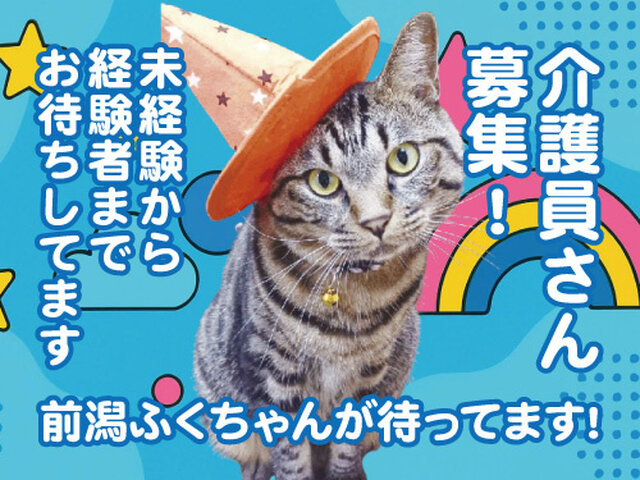 写真1