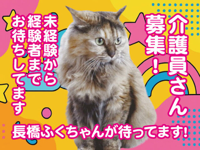 写真1