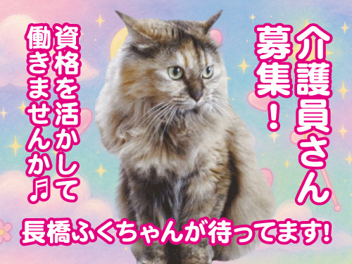 介護福祉士／資格を活かせる／ブランクOK／残業ほぼなし／賞与年3回