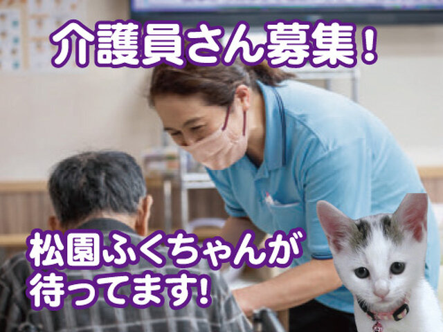 写真1