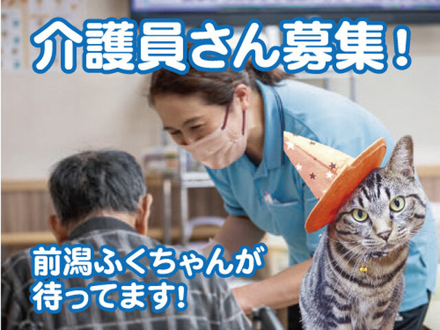 写真1