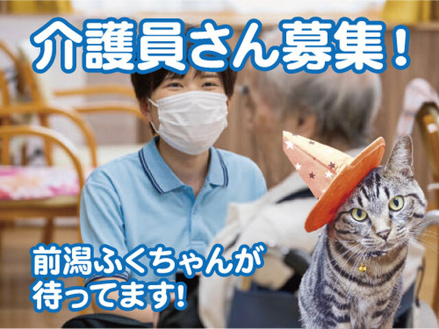 写真1