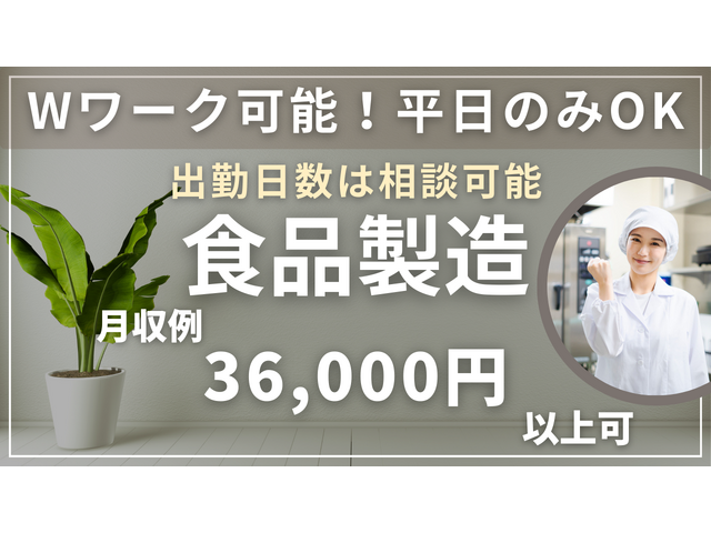 写真1
