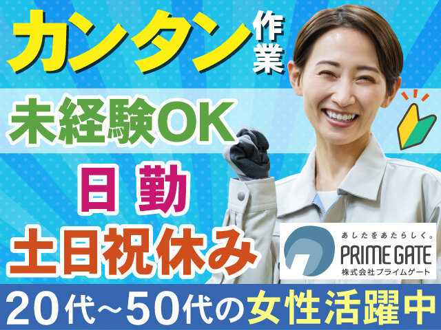 写真1