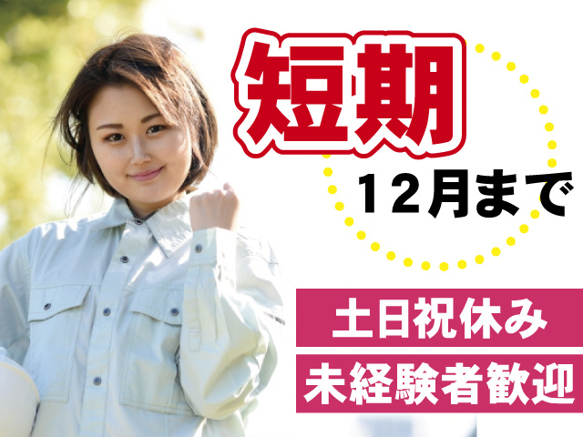 短期12月まで 土日祝休み 未経験者歓迎