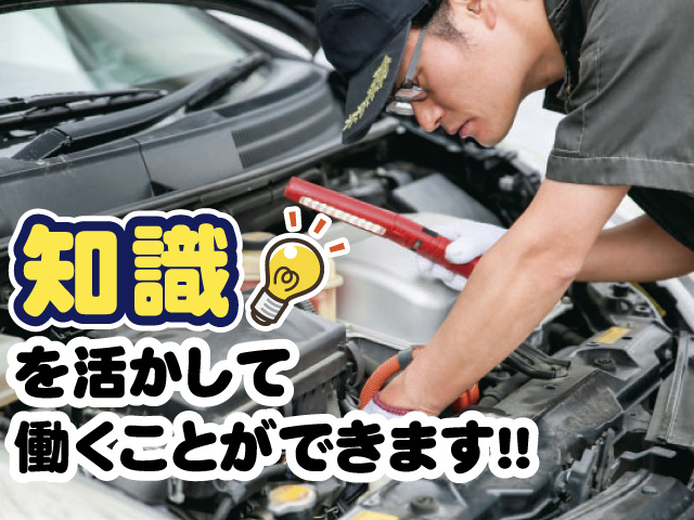 知識を活かして働くことができます！！