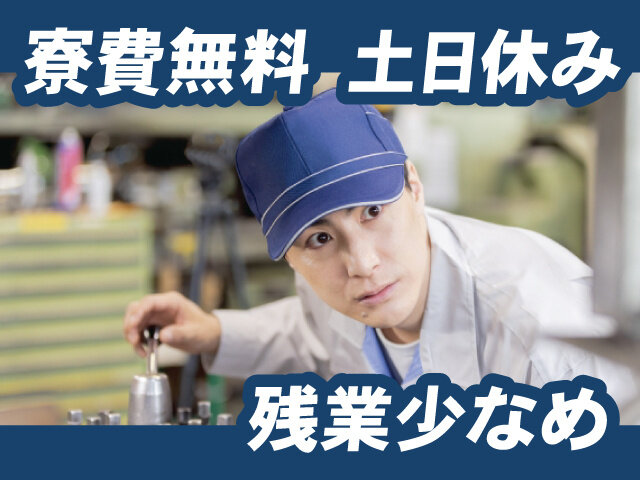 写真1