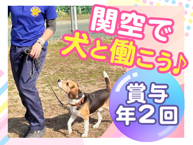 関空で犬と働こう