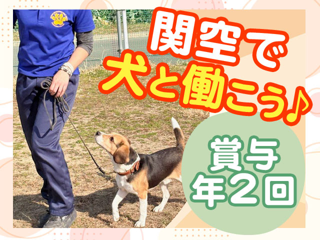 関空で犬と働こう