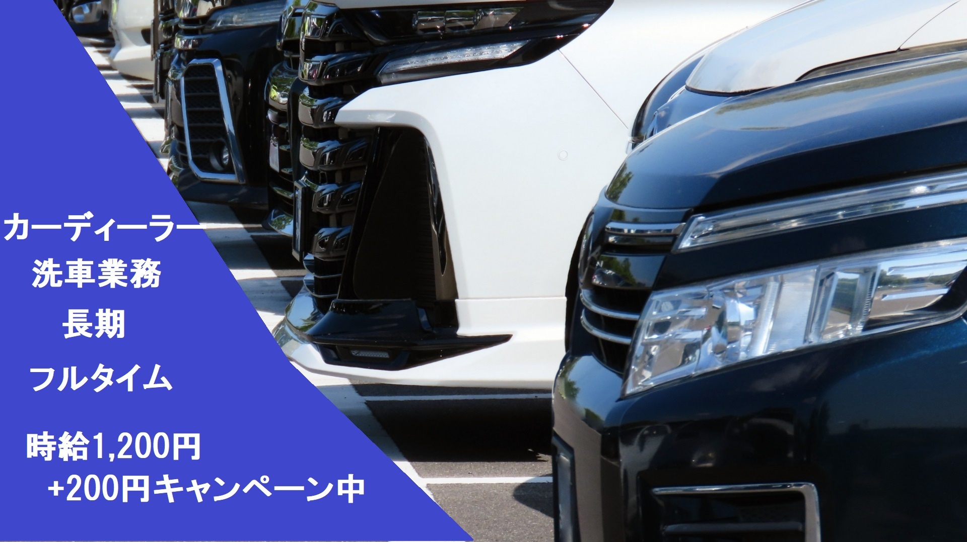 カーディーラー　洗車業務