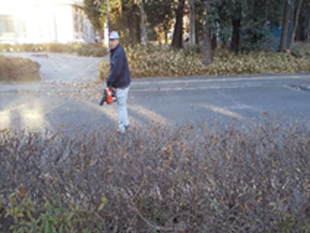 写真1