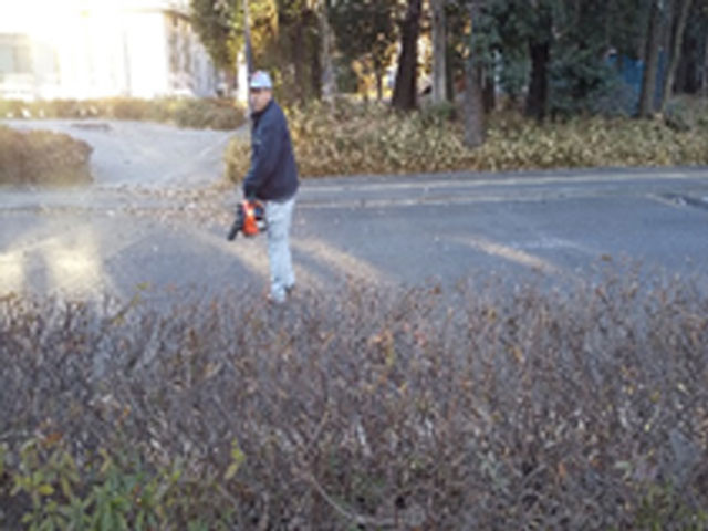 除草作業をしている写真