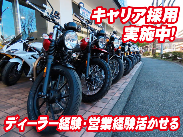 キャリア採用実施中