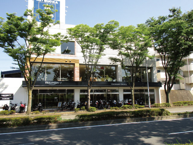 写真1