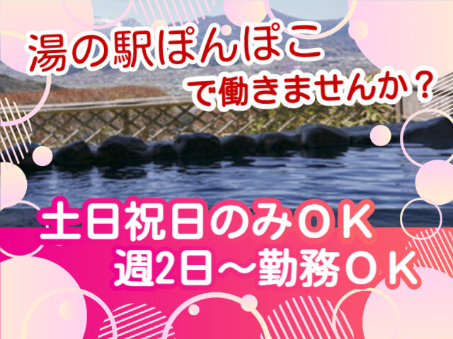 写真1