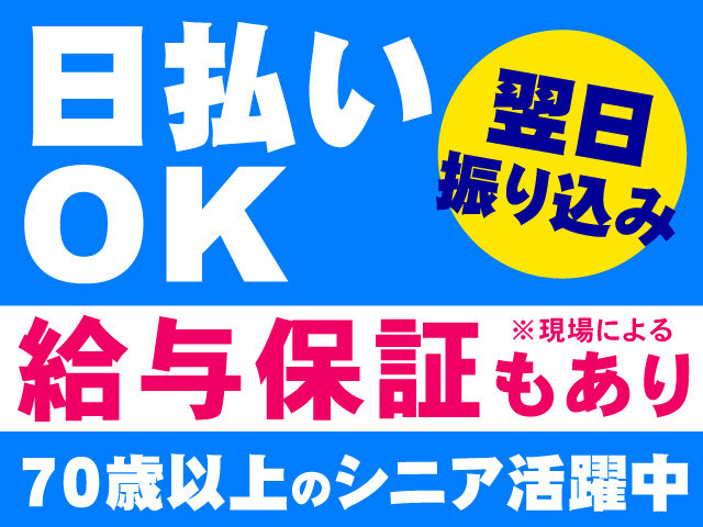 写真1