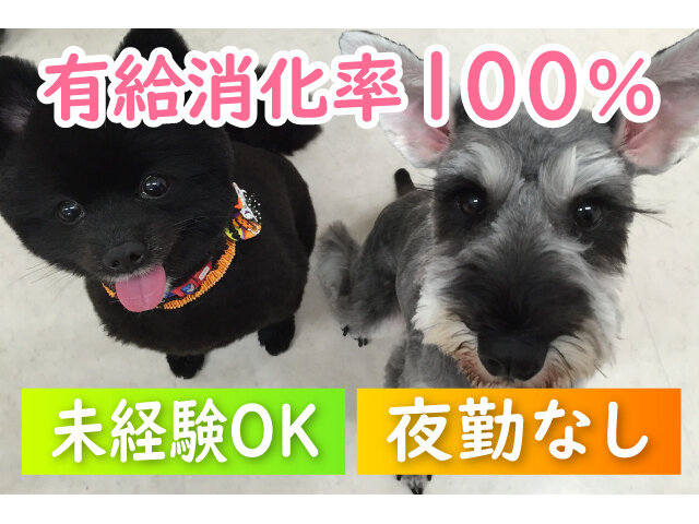 写真1