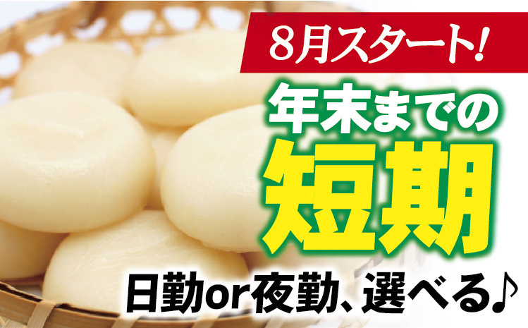 8月スタート！年末までの短期／日勤or夜勤、選べる♪