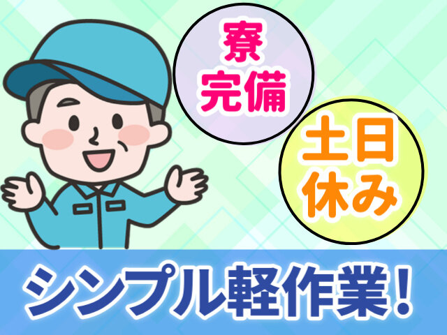 写真1