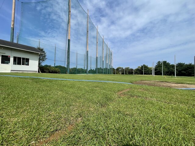 写真1