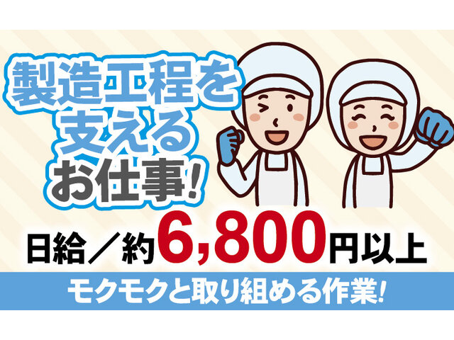写真1
