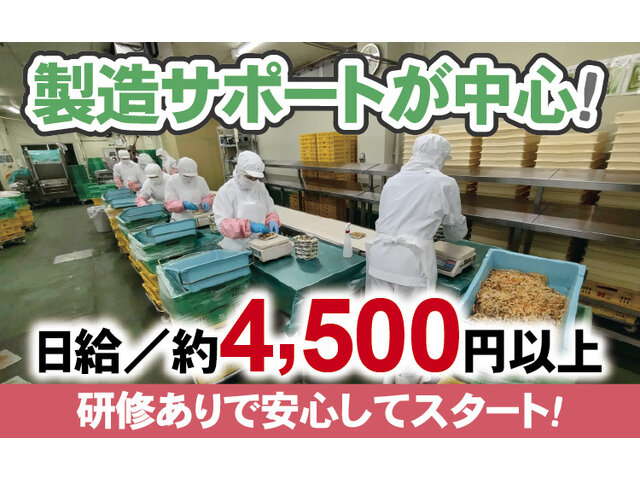 写真1