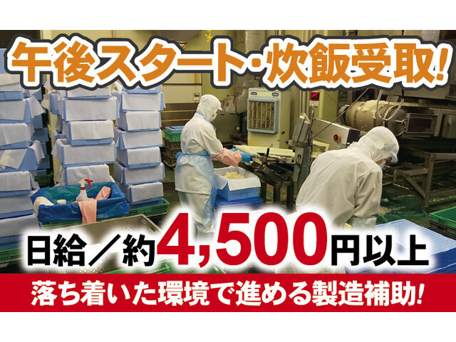 写真1