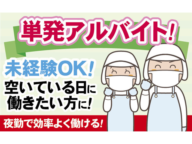 写真1