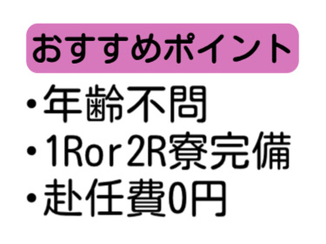 写真1