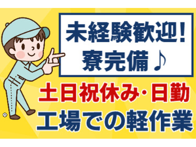 写真1