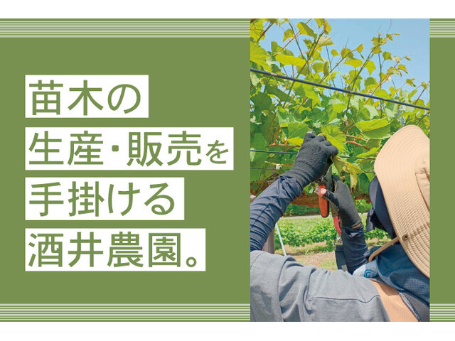 写真2