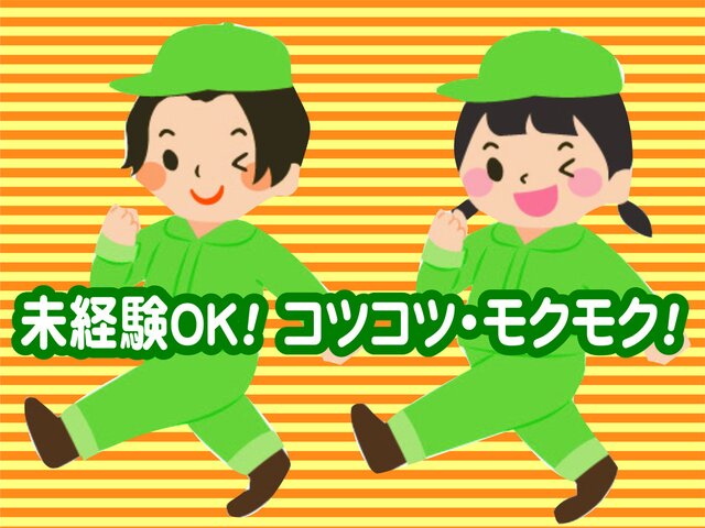 写真1