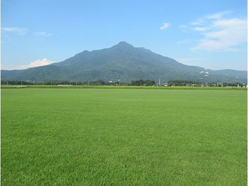 芝生の生産管理の募集内容 茨城県つくば市 有限会社松田芝生の採用 求人情報