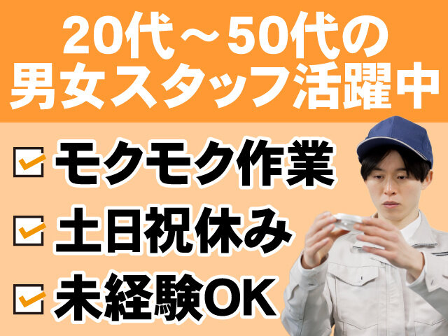 写真1