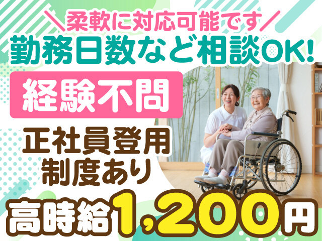 写真1
