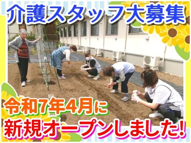写真1