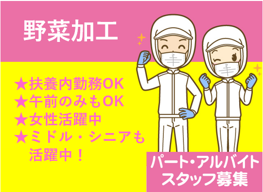 野菜加工、扶養内OK、午前のみもOK、女性活躍中、ミドル・シニアも活躍中