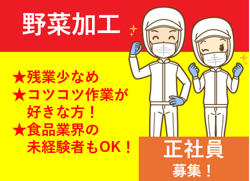 野菜加工、残業少なめ、コツコツ作業が好きな方、食品業界の未経験者もOK