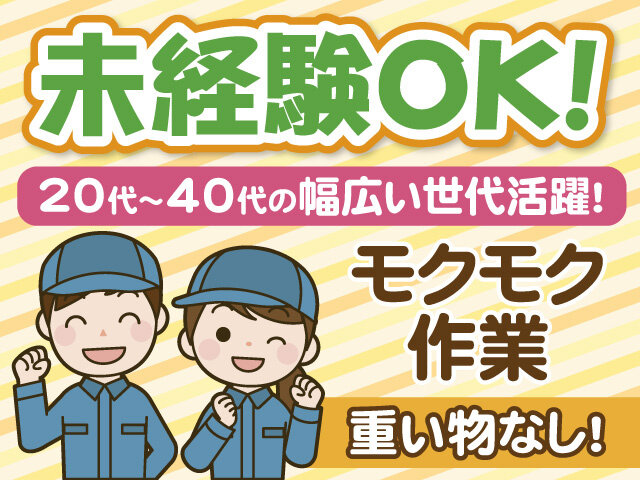 写真1